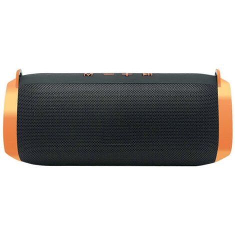 Enceinte portable Bluetooth sans fil pour intérieur et extérieur avec caisson de basses FM