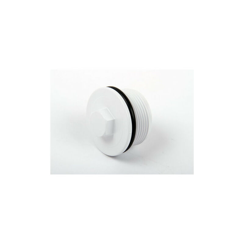 

Enchufe de invierno para piscina, cofies 3391 (1 1/2) - Hayward