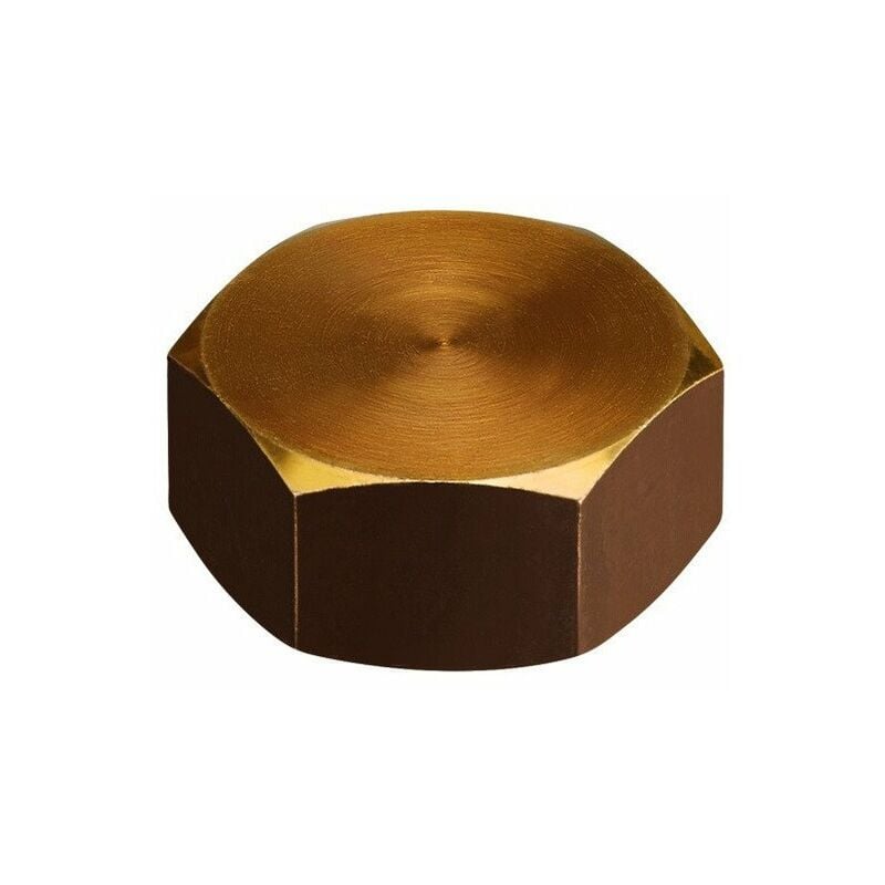 

Enchufe Hembra 3/4