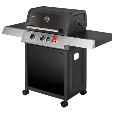 Barbecue avec Couvercle avec cadeau l'aid pour enfant - Promodeal