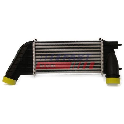 Enfriador de aire FT55515 rápido