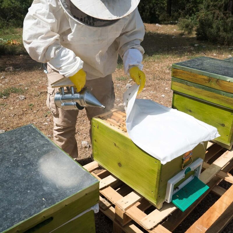 Fumeur d'abeille de ruche, pulvérisateur de fumeur d'abeille, équipement apicole en acier galvanisé, cuir de vachette
