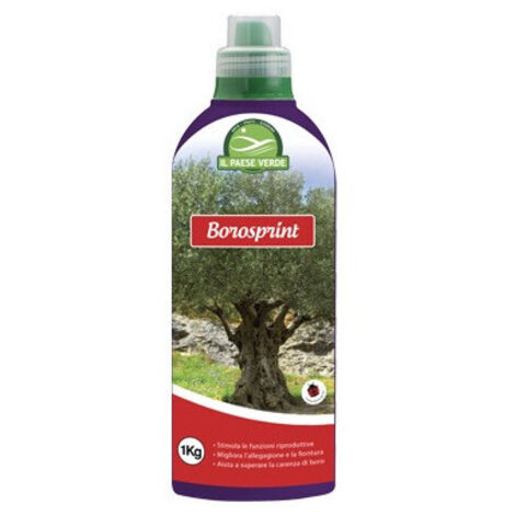 Engrais liquide Borosprint 1 kg – Agribios – Supplément de bore pour la floraison et la nouaison – H16006