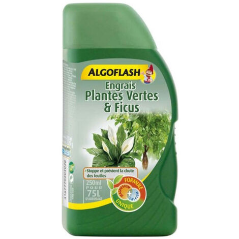 ALGOFLASH - Engrais plantes vertes et ficus 250ml