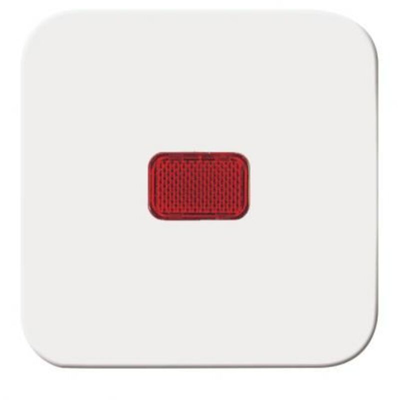 2509-214 (1731-0-0900) - Busch-jaeger