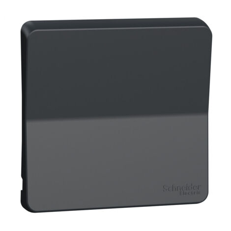Enjoliveur avec symbôle sonnette Mureva Styl - IP55 - IK08 - gris - Schneider Electric - MUR34201