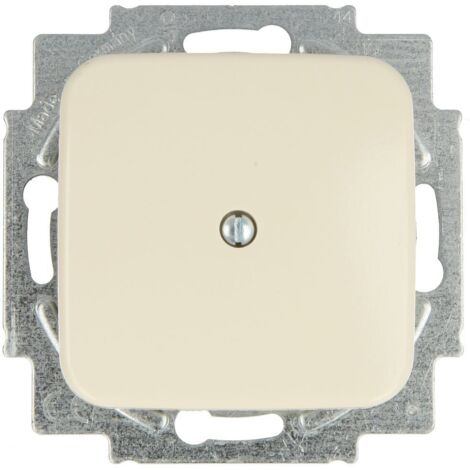Enjoliveur aveugle avec bague-support Busch-Duro 2000® SI