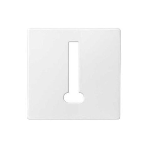 Enjoliveur blanc prise telephone T 8 plots MPLAN SCHNEIDER MTN289519