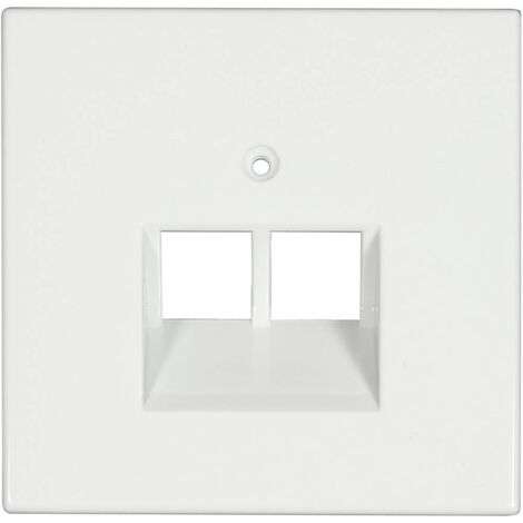 enjoliveur - pour prise double rj11 et rj45 - blanc - jung ls969-2uaww
