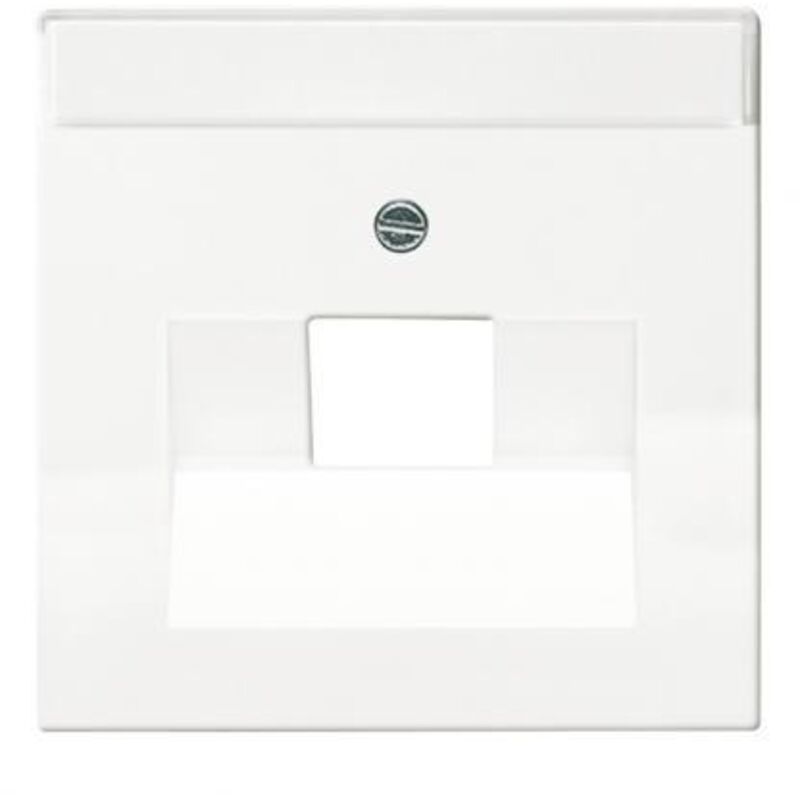 1710-0-3165 plaque de commutation et obturateur - Busch-jaeger