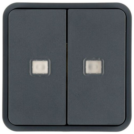 Enjoliveur poussoirs 2 touches à voyants Cubyko KNX gris (WNT954)