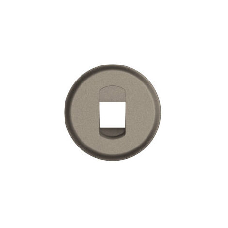 ENJOLIVEUR PRISE HP SIMPLE TITANIUM Céliane 2024 - CT0311 - Legrand