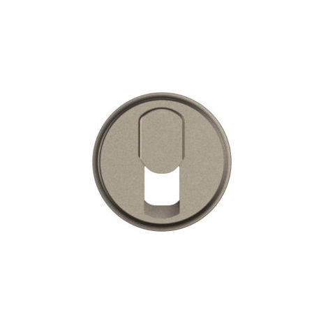 ENJOLIVEUR PRISE RJ45 TITANE Céliane 2024 - CT0340 - Legrand