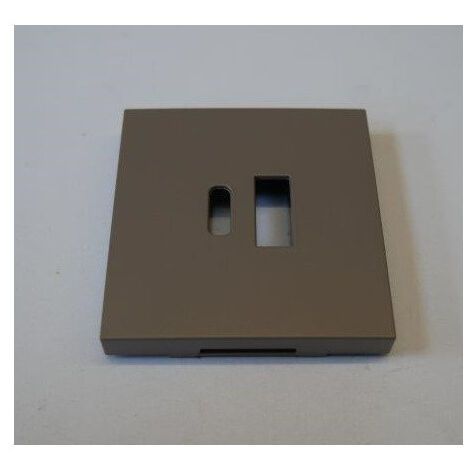 Enjoliveur set de finition couleur greige pour double chargeur USB-A et USB-C intelligent Niko