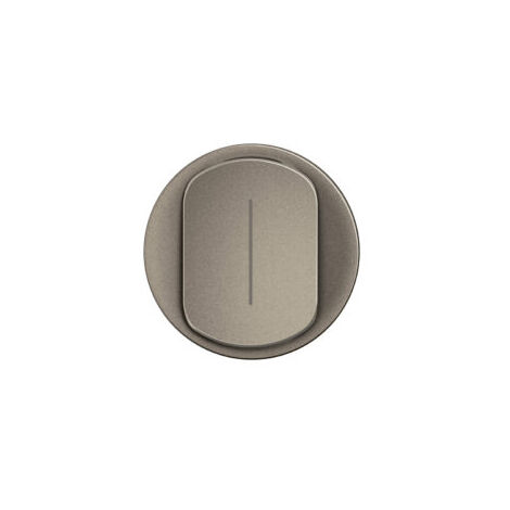 ENJOLIVEUR VV Va-et-vient TEMOIN TITANE Céliane 2024 - CT0007 - Legrand
