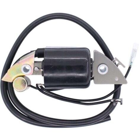 Enowelir Motorradzündspule für G150 G200 G300 G400 30500-887-303 30560-883-015