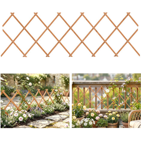 Enrejado de Jardín  Extensible Soporte para Plantas Trepadoras Rosas y Parra 180x60 cm Marrón Claro