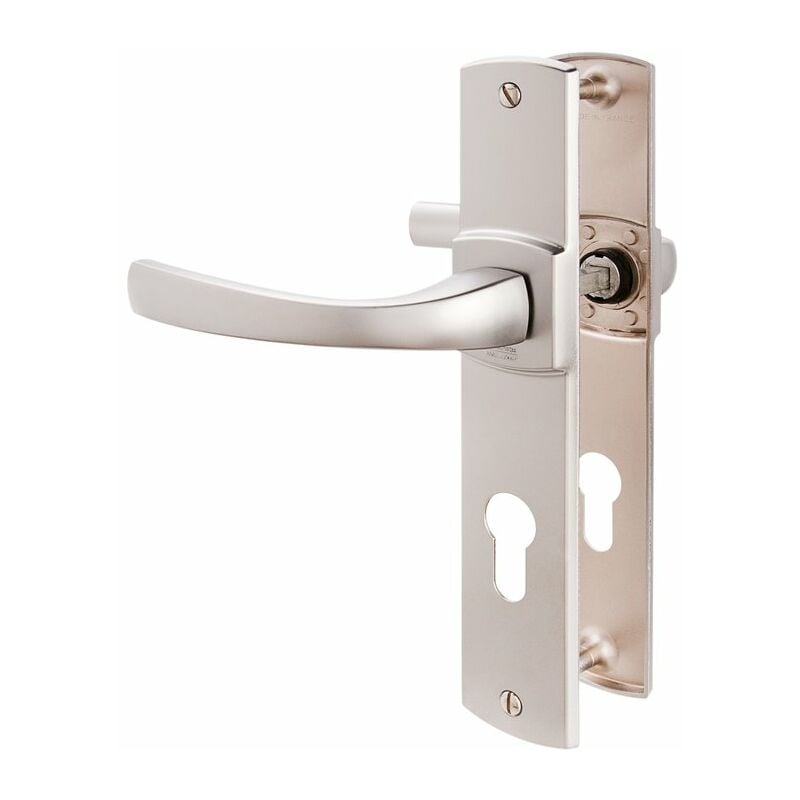Vachette - Poignée de porte d'entrée - Muze Gris argent - Clé i - 195 mm