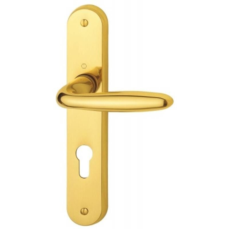 Hoppe - Ensemble sur plaque 234 x 41 mm en laiton poli - Pour porte épaisseur 33 à 46 mm - verona clé l