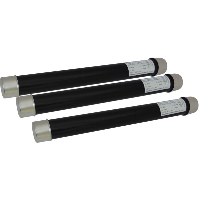 Michaud - Ensemble de 3 fusibles hta 24kV 63A AA004