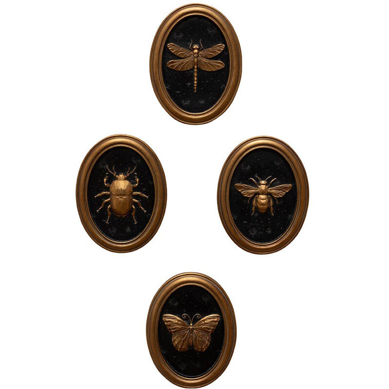 Ensemble 4 cadres insectes Entomologie 13x17cm Ensemble 4 cadres insectes Entomologie 13x17cm