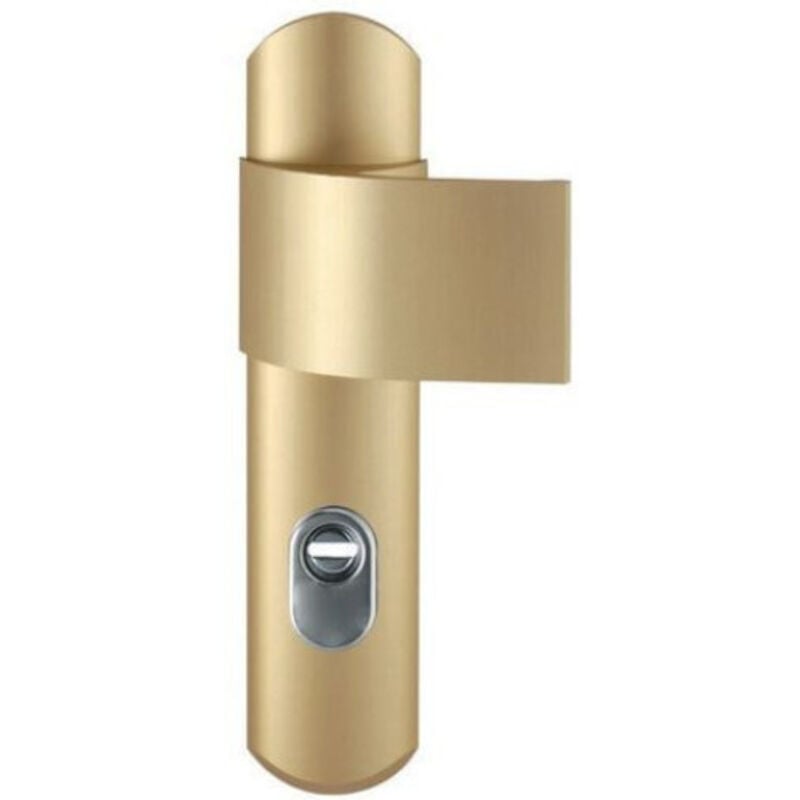 Ensemble de sécurité Florence 2 tirage A2P or Vachette 16017000