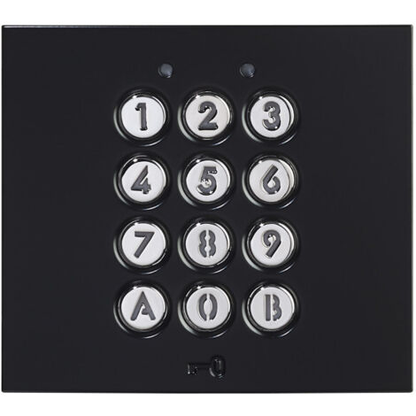 Ensemble clavier codé GTAC finition noire satinée 200439 - AIPHONE GTACB