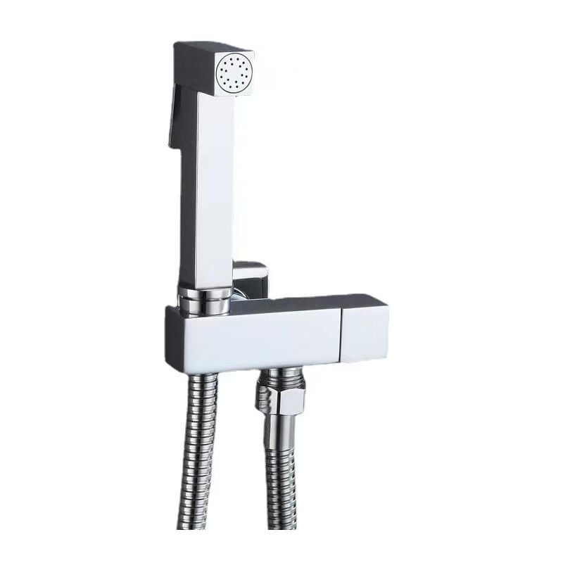 Ensemble complet de douchette de toilette en laiton, argent, vanne d'angle en cuivre + pistolet en zinc + tuyau de douche 1,5 m