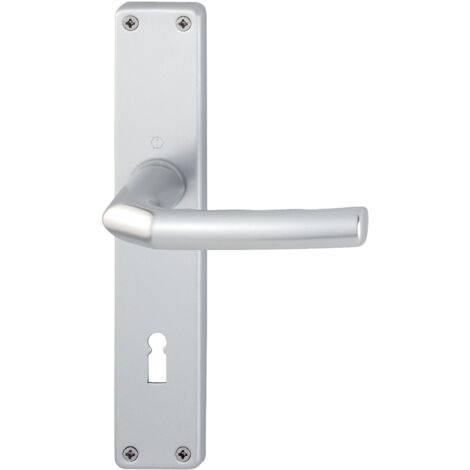 Hoppe – Garniture à plaque longue Birm.1117/202SP – Aluminium F1 – Entraxe 72mm – Pour portes intérieures 27-47mm – Assemblage par goupille profilée