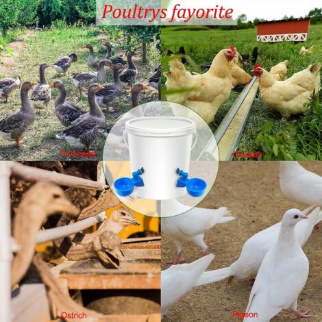 Ensemble de 12 abreuvoirs automatiques pour volailles avec outils de perforation pour poulets, canards et volailles de basse-cour