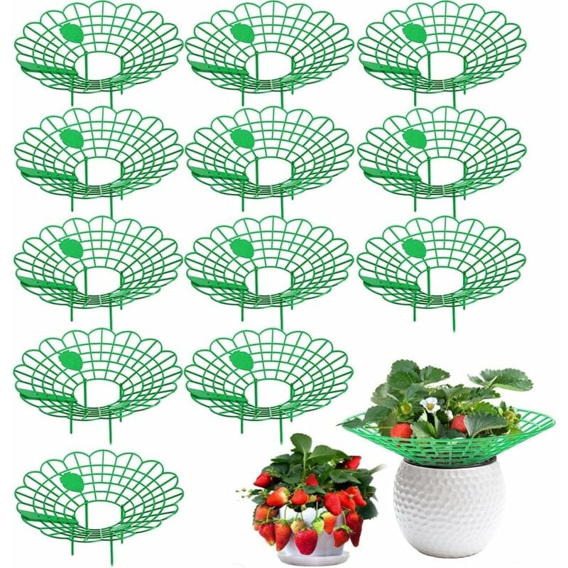 Linghhang - Ensemble de 12 pièces (vert) support à fraises, support pour fraisiers, petites fraises matures, support pour plantes en filet de fraises