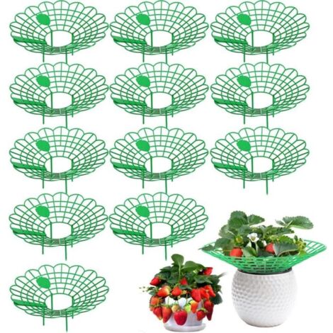 Ensemble de 12 pièces (vert) support à fraises, support pour fraisiers, petites fraises matures, support pour plantes en filet de fraises de balcon, protège les fraises