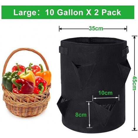 Ensemble de 2 sacs de plantation pour fraisiers noirs