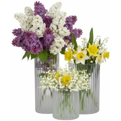 Ensemble de 3 vases RIBS modernes, transparents et incolores