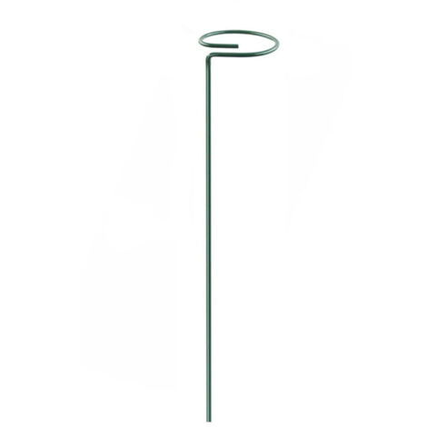 Ensemble de 4 supports pour plantes, support pour fleur à tige unique - AquaForge
