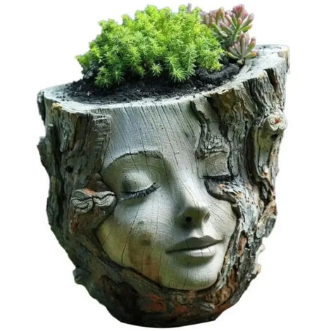 Ensemble de 5 pots à orchidées de 14,2 cm (5,6 pouces) avec trous de drainage