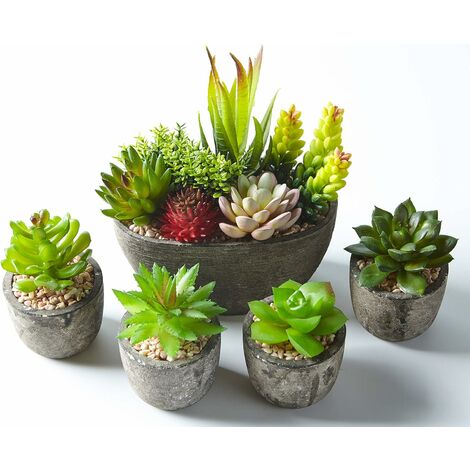 Ensemble de 5 Pots artificiels Succulents (Comprenant 10 Plantes), Faux Plantes succulentes colorées et décoratives avec Pierres, idéal pour la Maison, Le Bureau et la décoration extérieure
