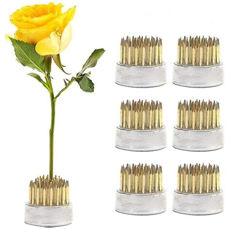 Ensemble de 6 pinces à épingles pour débutants à domicile pour arrangement floral