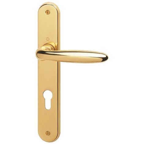 Ensemble de béquille Vérona (plaque étroite) - HOPPE AG - Laiton poli Resista® - Saillie normale - Pour porte 48 à 58 mmCarré de 7 mm - EA 70 mm