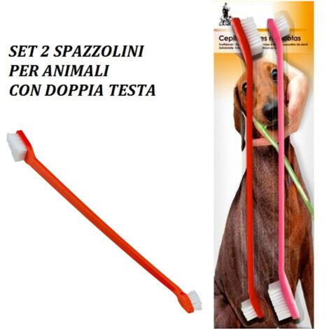 Ensemble De Brosses à Dents 2 Pièces Brosse à Dents Double Tête Pour Chiens Chats