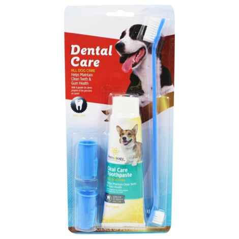 Ensemble De Brosses à Dents Longues Double + Dentifrice + 2 Têtes à Doigts Pour Chiens Animaux
