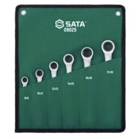 Ensemble de clés à anneau Sata S09025 6 unités