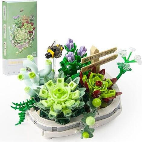 Ensemble de construction de mini bonsaï succulent (1 pièce), plantes succulentes B