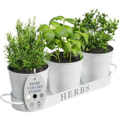 Ensemble de jardinières d'intérieur avec plateau, pots de fleurs en métal pour rebord de fenêtre avec drainage pour plantes d'intérieur ou d'extérieur, lot de 3 (blanc)