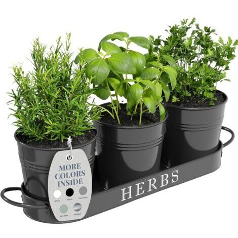 Ensemble de jardinières d'intérieur avec plateau, pots de fleurs en métal pour rebord de fenêtre avec drainage pour plantes d'intérieur ou d'extérieur, lot de 3 (noir)