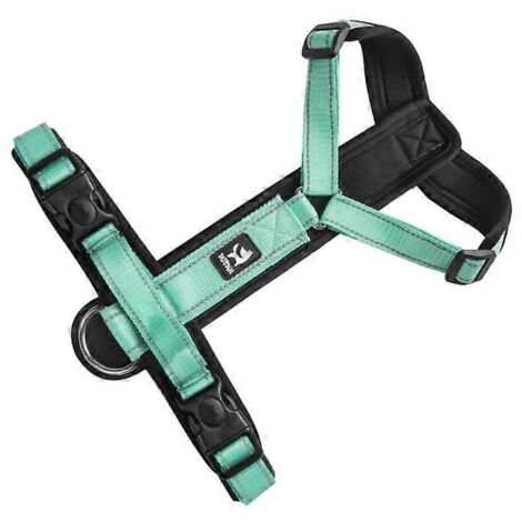 Ensemble de laisse de traction réglable pour chien, poitrine et dos, corde douce et mignonne pour promenade extérieure, cyan clair (taille S).