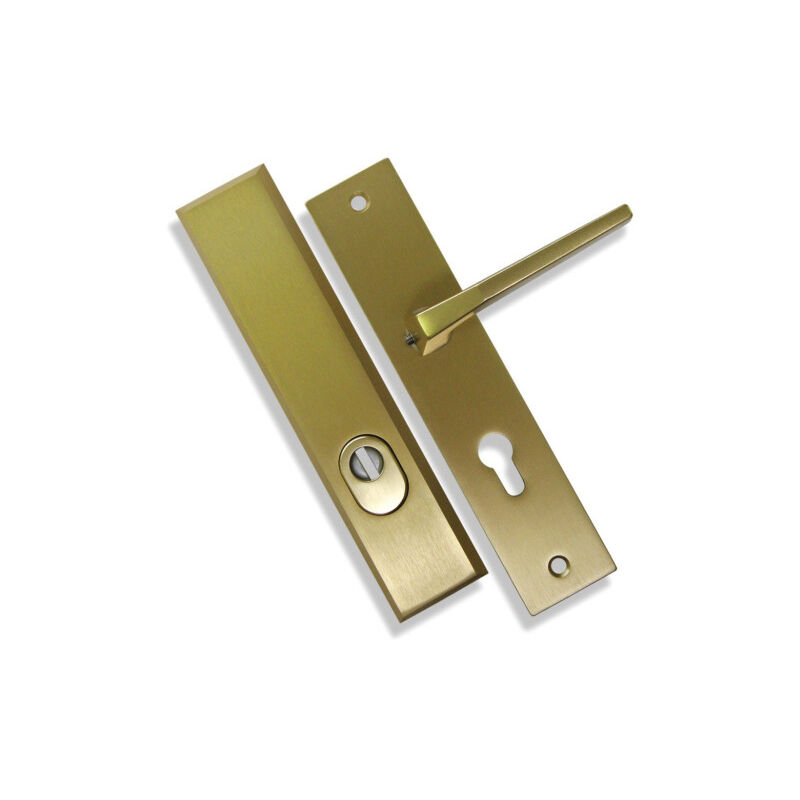 Dieckmann - Ensemble de poignées de porte Clé i palière/borgne 8603 Champagne Champagne