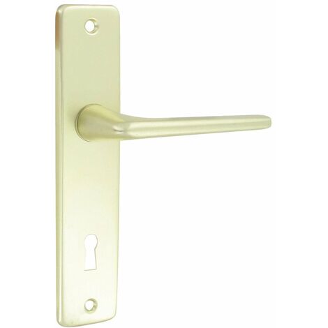 Ensemble de poignées de porte en aluminium anodisé champagne – Longueur 120 mm – Entraxe 165 mm – Pour portes 40 mm d'épaisseur – Dt 2000