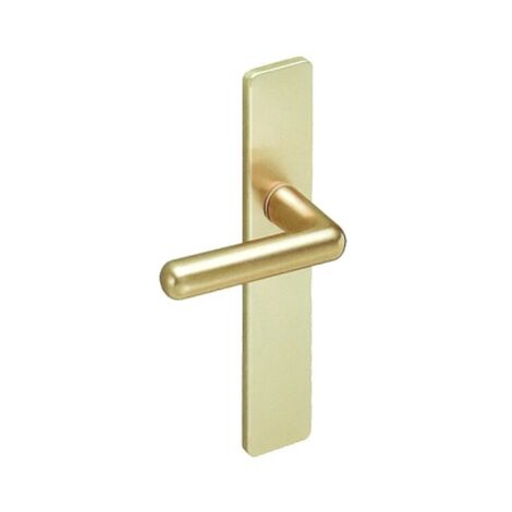 Ensemble de poignées de porte sur plaque GOLF - ASSA ABLOY VACHETTE Champagne 70 Bec de cane