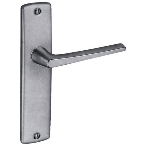 Ensemble de poignées de porte VACHETTE Rival L finition métallique